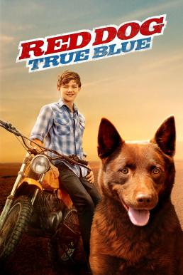 ดูหนังออนไลน์ฟรี RED DOG TRUE BLUE (2016) เพื่อนซี้หัวใจหยุดโลก 2