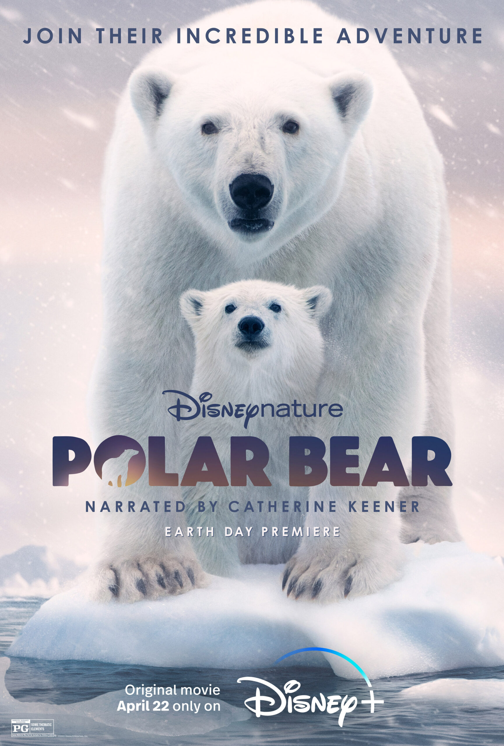 ดูหนังออนไลน์ Polar Bear (2022) เต็มเรื่อง