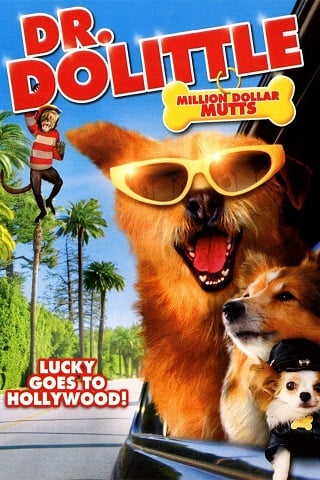 ดูหนังออนไลน์ฟรี Dr. Dolittle 5: Million Dollar Mutts ดอกเตอร์จ้อ สื่อสัตว์โลกมหัศจรรย์ ตะลุยฮอลลีวูด (2009) บรรยายไทย