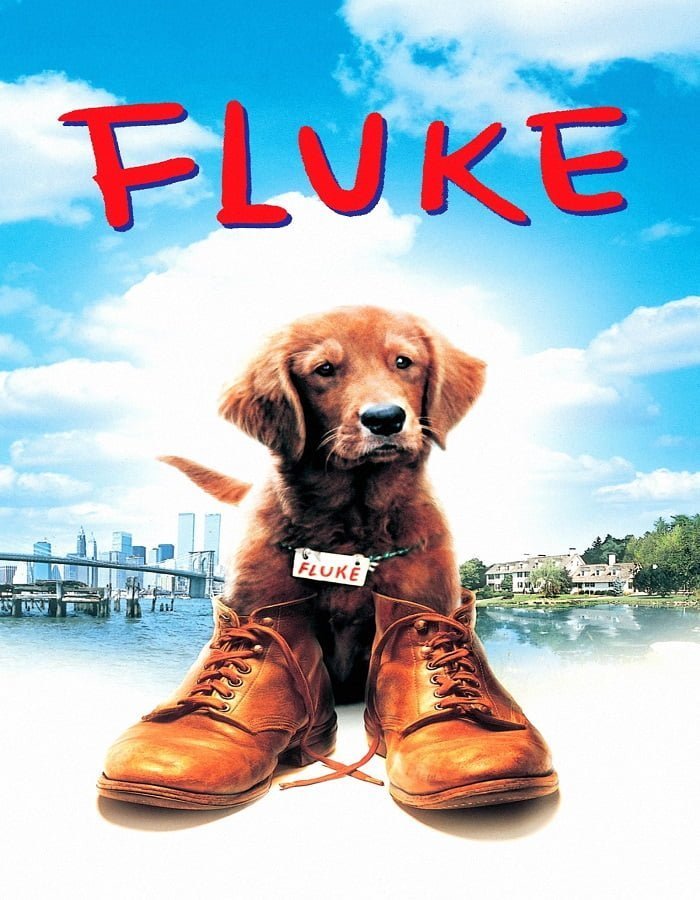 ดูหนังออนไลน์ Fluke เกิดใหม่กลายเป็นหมา (1995)