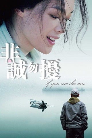 ดูหนังออนไลน์ If You Are the One (Fei cheng wu rao) ผิดรักหัวใจหลงลึก (2008) บรรยายไทย